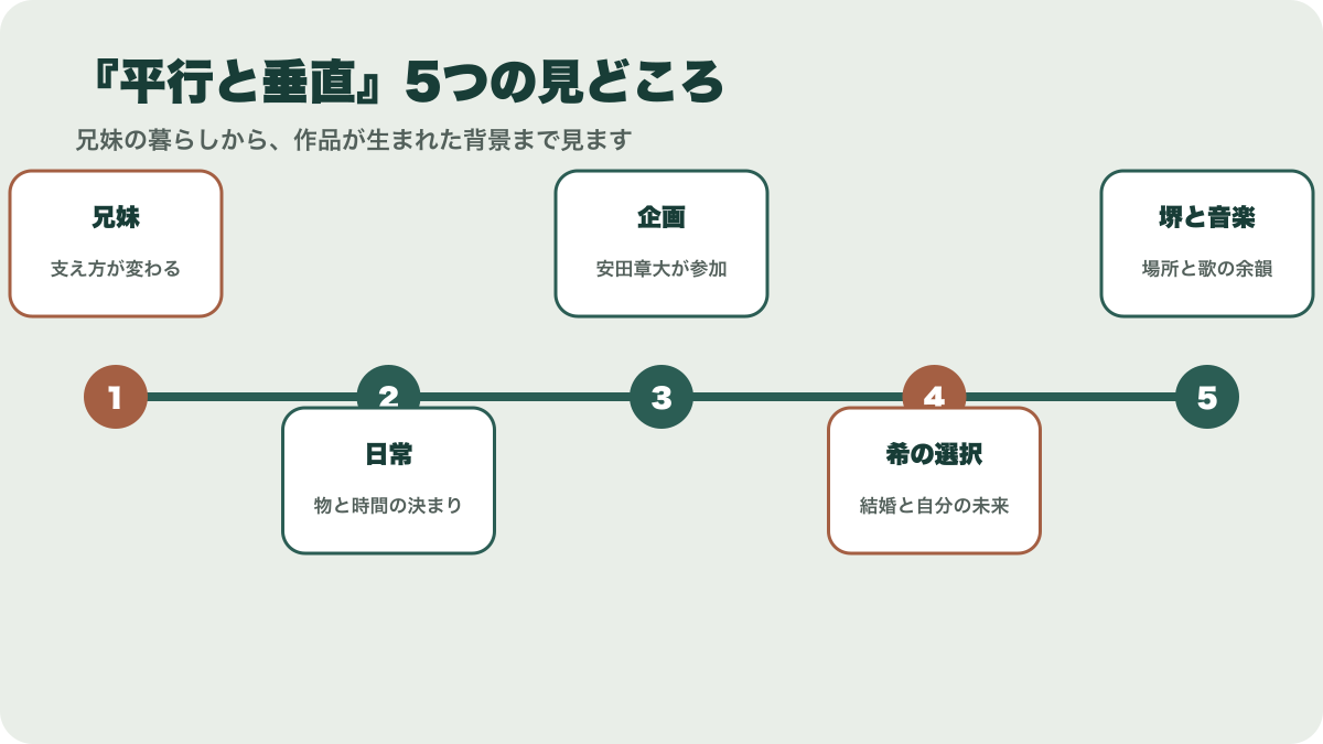 映画平行と垂直の5つの見どころを兄妹の日常から堺と主題歌まで並べた図